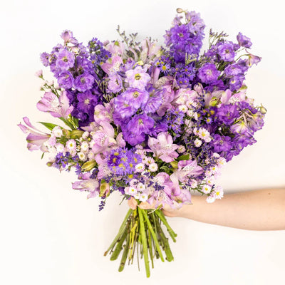 Purple Magic DIY Flower Kit