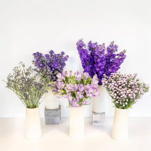 Purple Magic DIY Flower Kit