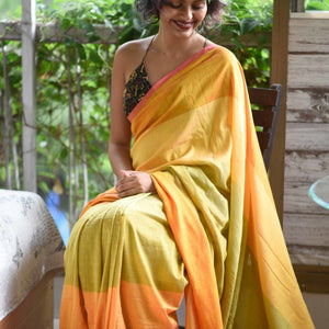 Raina- Elephants and birds