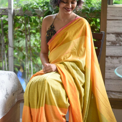 Raina- Elephants and birds