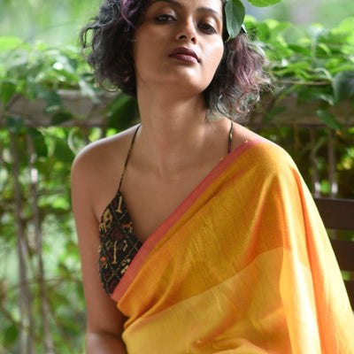 Raina- Elephants and birds