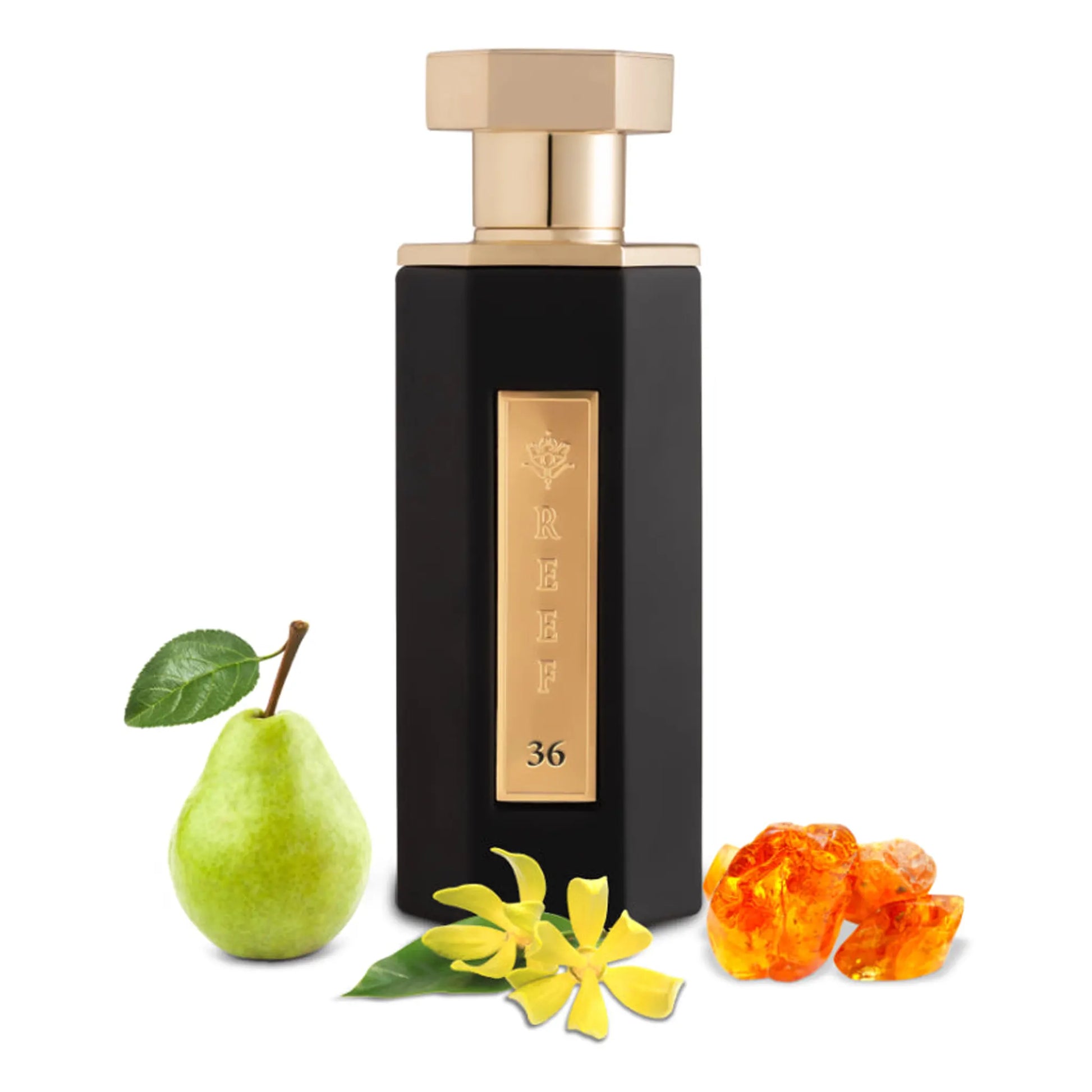 REEF 36 Eau De Parfum SAMPLE
