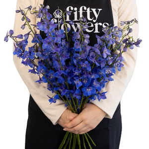 Royal Dark Blue Delphinium Flower