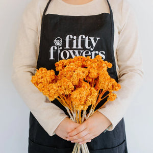Orange Dried Andean Asters