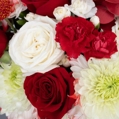 Scarlet Red DIY Flower Kit