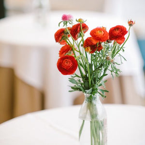 A Vibrant Modern Wedding