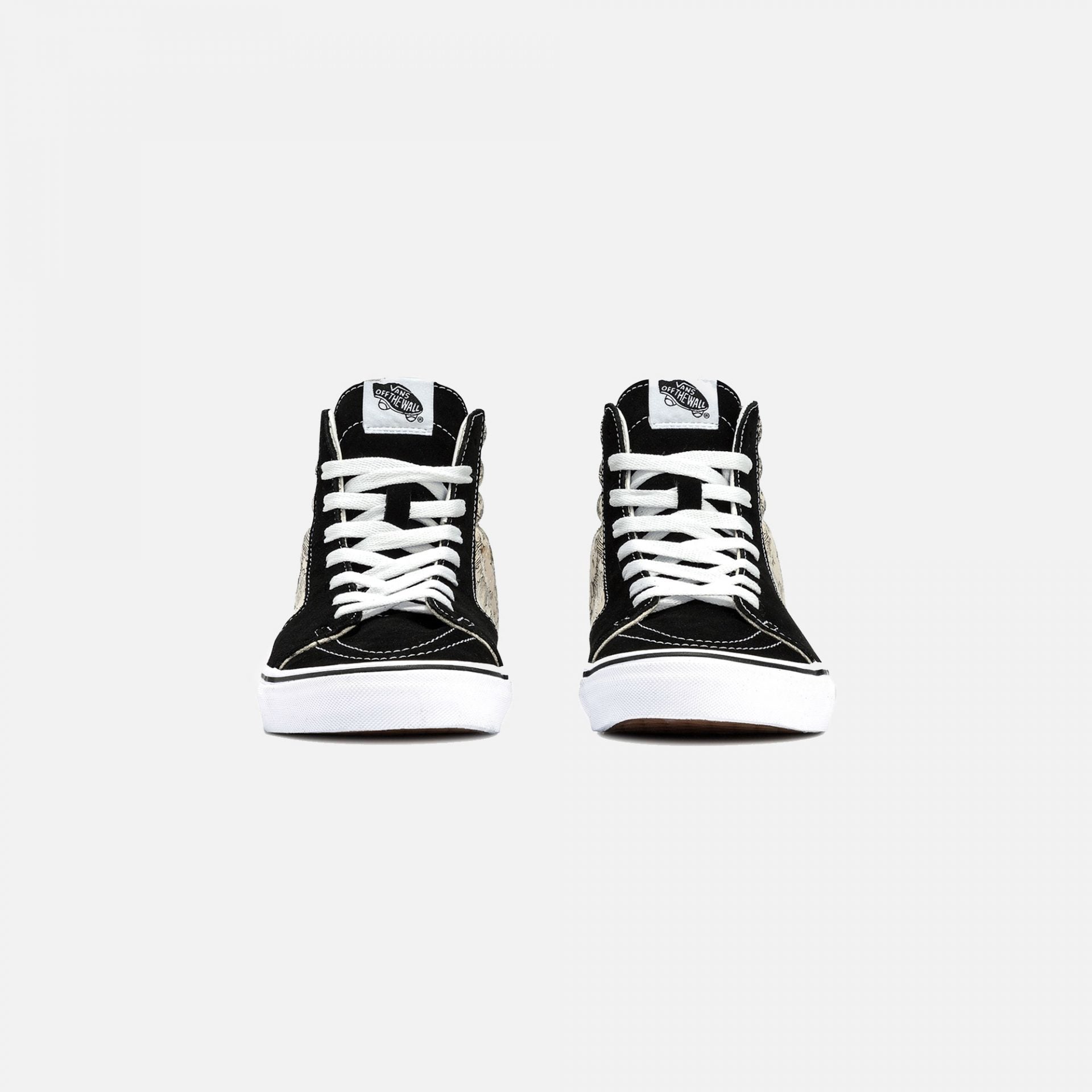 Vans | SK8 HI OUROBOROS