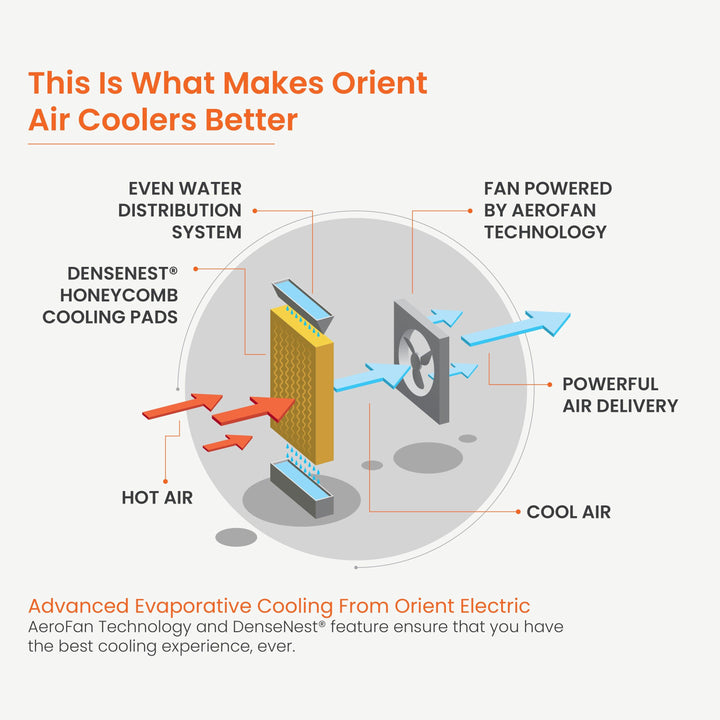 Snowbreeze Magnus Neo Desert Air Cooler with Aerofan Technology