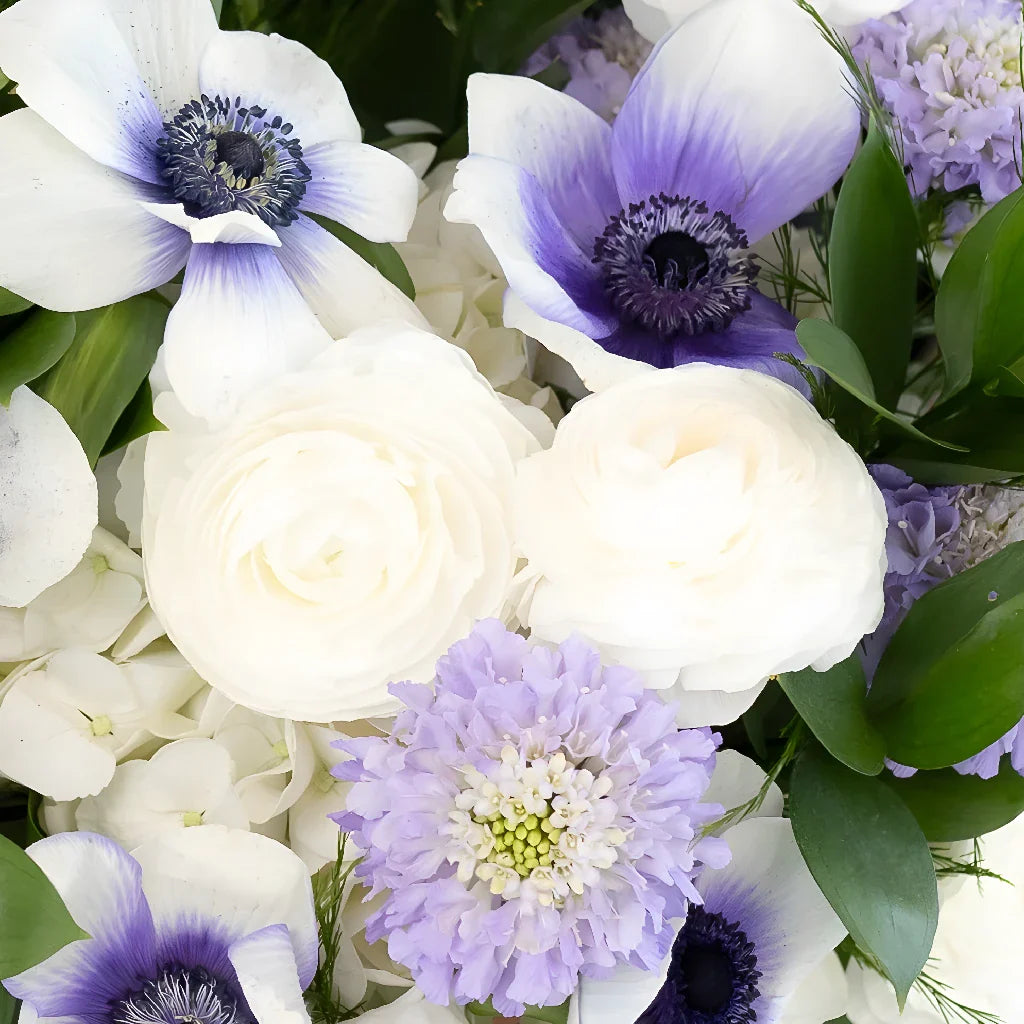 Soft Anemone Dreams DIY Flower Kit
