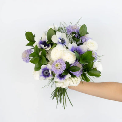 Soft Anemone Dreams DIY Flower Kit