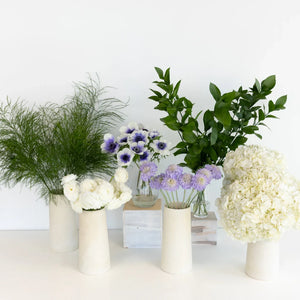 Soft Anemone Dreams DIY Flower Kit