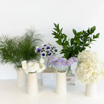Soft Anemone Dreams DIY Flower Kit