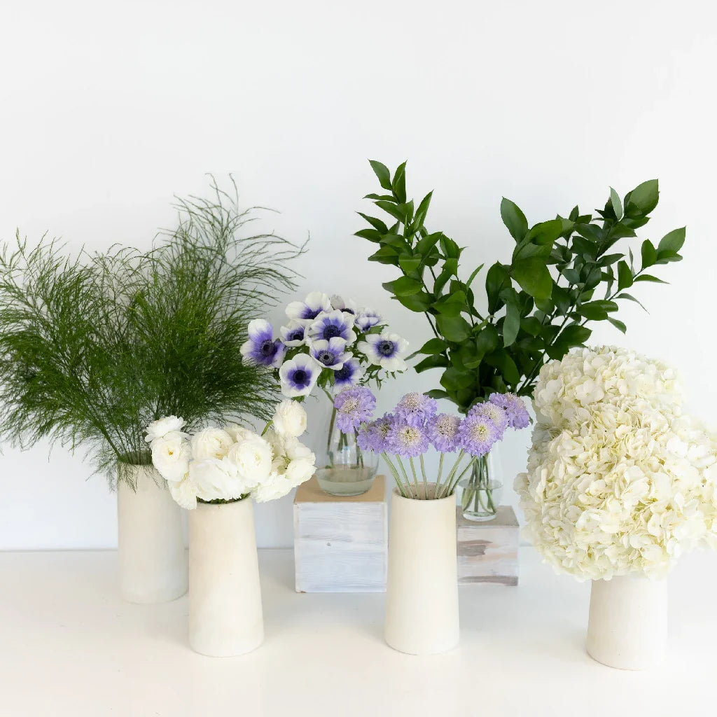 Soft Anemone Dreams DIY Flower Kit