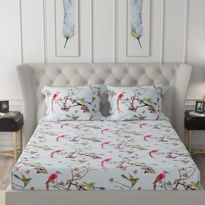 Fitted King Size Cotton Bedsheet - Sparrow Aqua