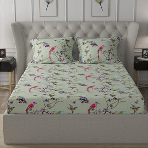 Fitted King Size Cotton Bedsheet - Sparrow Mint Green