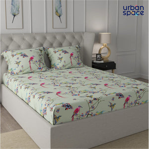 Fitted King Size Cotton Bedsheet - Sparrow Mint Green
