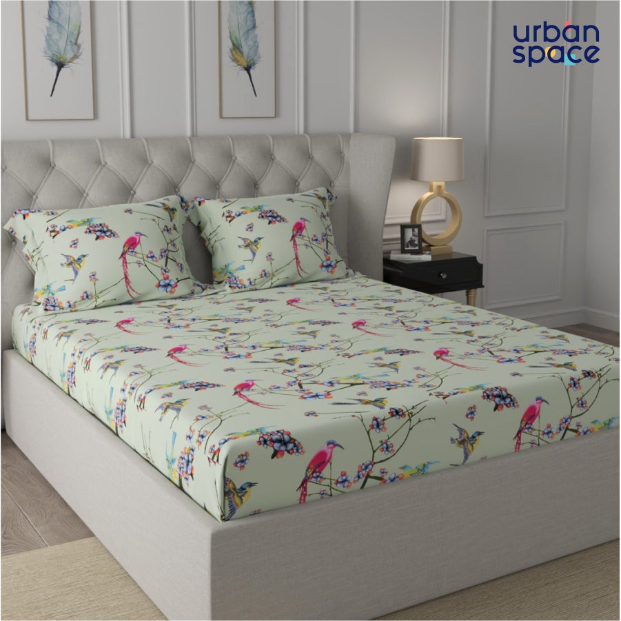 Fitted King Size Cotton Bedsheet - Sparrow Mint Green