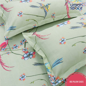 Fitted King Size Cotton Bedsheet - Sparrow Mint Green