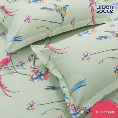 Fitted King Size Cotton Bedsheet - Sparrow Mint Green