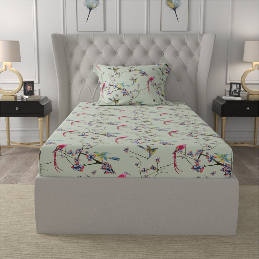 Fitted King Size Cotton Bedsheet - Sparrow Mint Green
