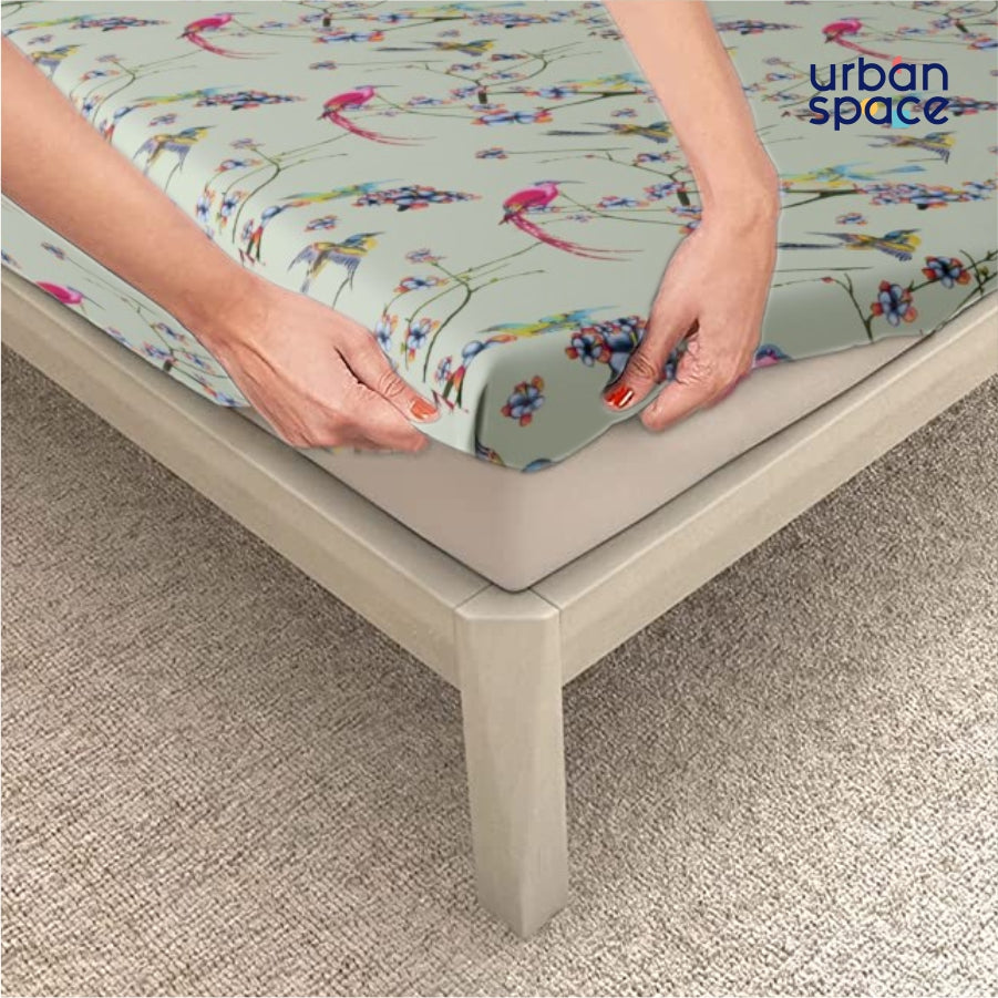 Fitted King Size Cotton Bedsheet - Sparrow Mint Green