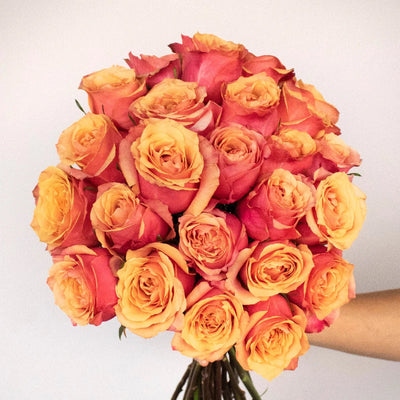 Premium Rose Subscription Box