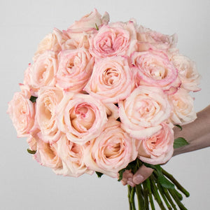 Premium Rose Subscription Box