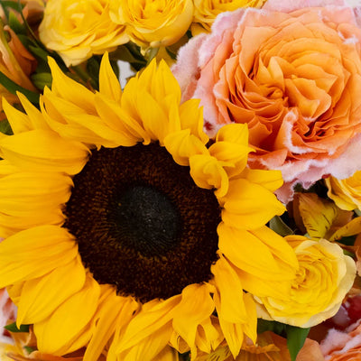 Sunny Fuzzy Flower Bouquet Bar Kit