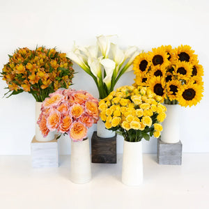 Sunny Fuzzy DIY Flower Kit