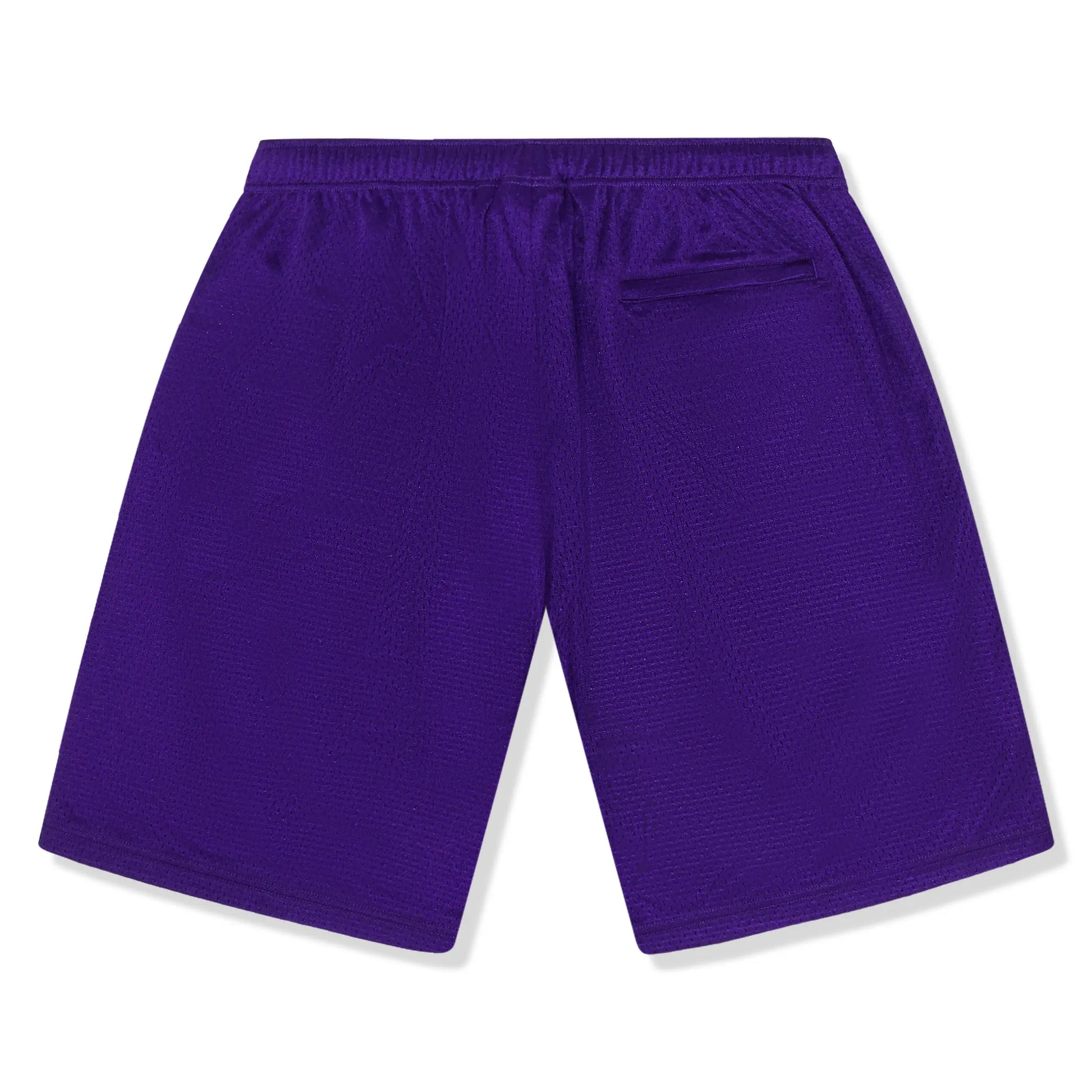 Supreme Small Box Baggy Mesh Purple Shorts (SS25)