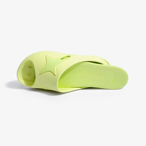 Slides LIME