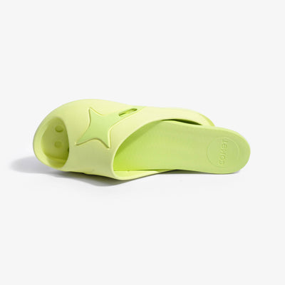 Slides LIME