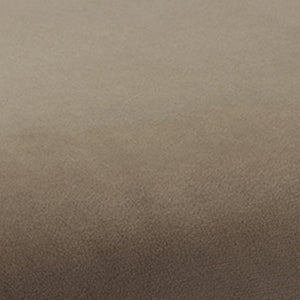 Temi Dining Chair by Sun at Six