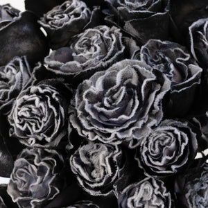 Tinted Black Fuzzy Roses