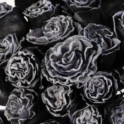 Tinted Black Fuzzy Roses