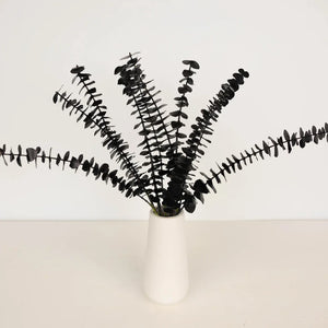 Tinted Black Baby Eucalyptus