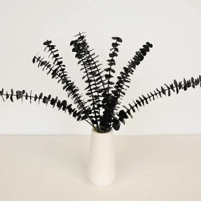 Tinted Black Baby Eucalyptus