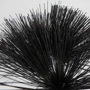 Tinted Black Papyrus Greenery