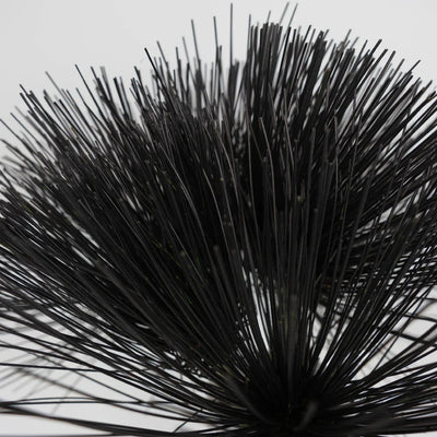 Tinted Black Papyrus Greenery