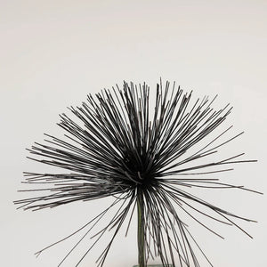 Tinted Black Papyrus Greenery