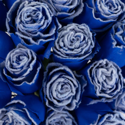 Tinted Blue Fuzzy Roses