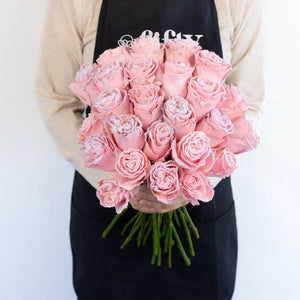 Tinted Blush Pink Fuzzy Roses
