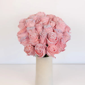 Tinted Blush Pink Fuzzy Roses