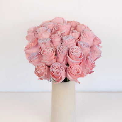 Tinted Blush Pink Fuzzy Roses