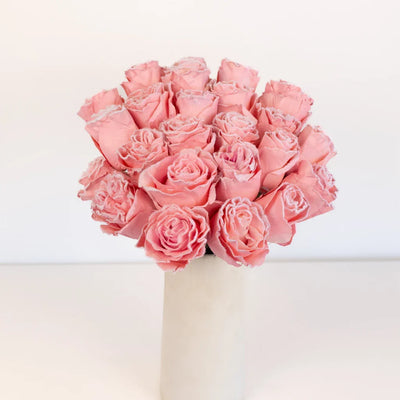 Tinted Light Pink Fuzzy Roses