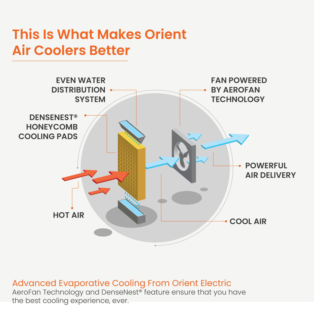 Titan Desert Air Cooler with Honeycomb Pads