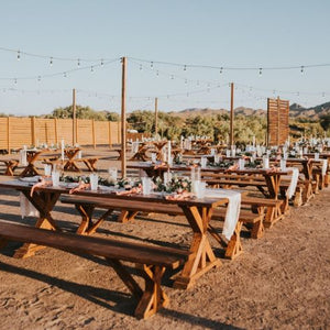 Trendy Minimalist Desert Wedding