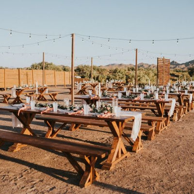 Trendy Minimalist Desert Wedding