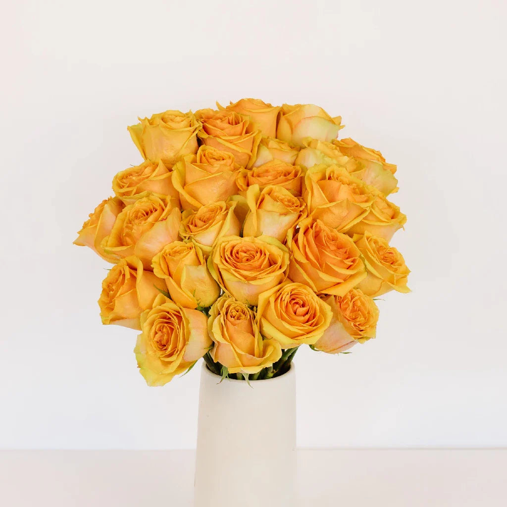 Light Golden Orange Roses