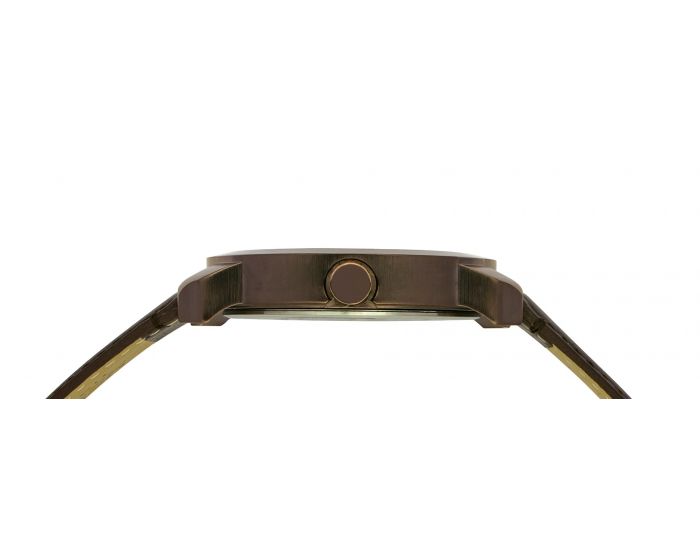 Trendy Brown Dial